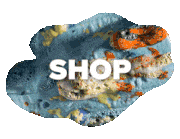 SSWeb-JoeyWatson-Shop GIF